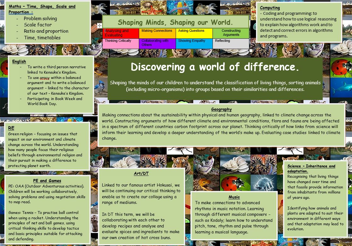 Willesborough Junior School Year 6